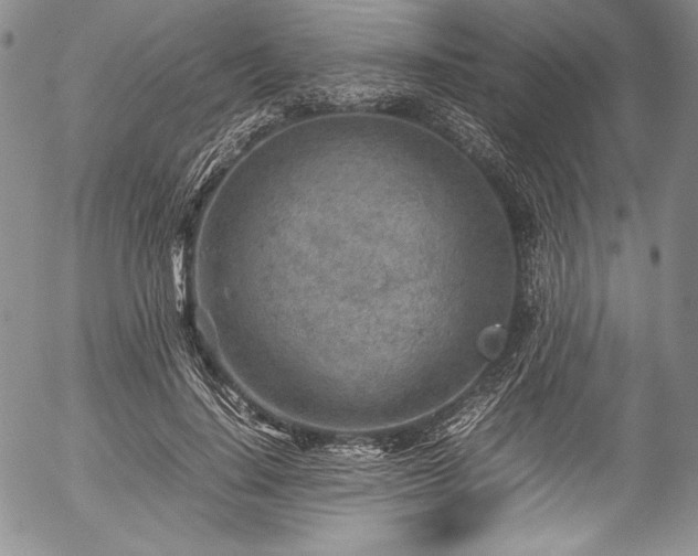 X0000054450644200508011430