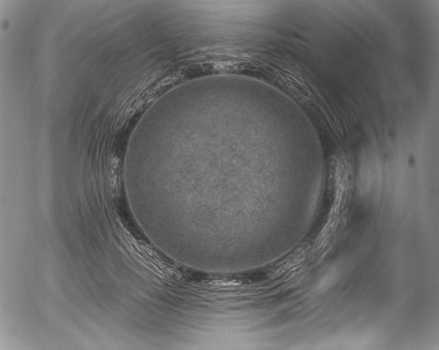 X0000054450650200508011430