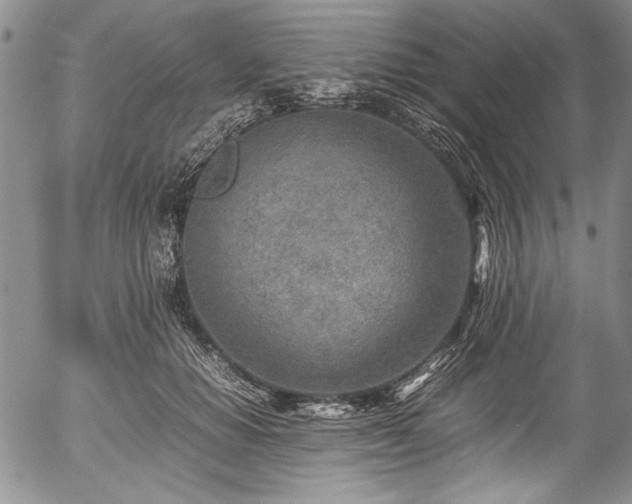 X0000054450654200508011430