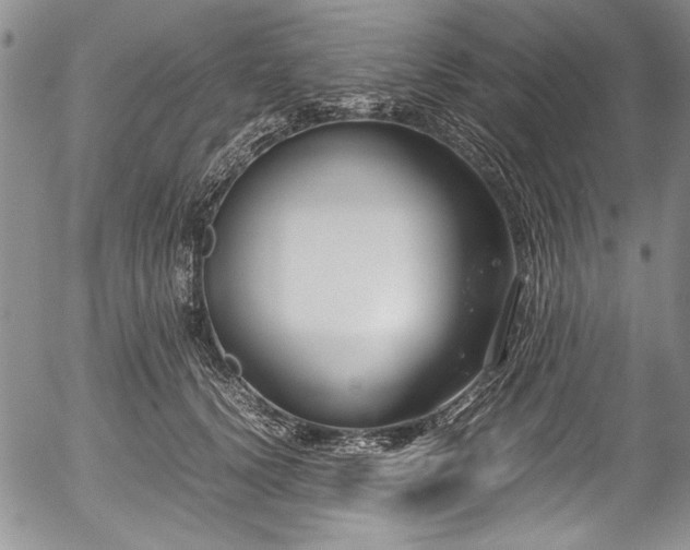 X0000054450656200508011430