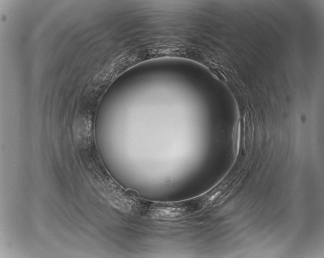 X0000054450657200508011430