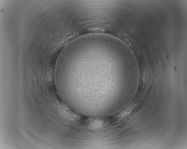 X0000054450658200508011430