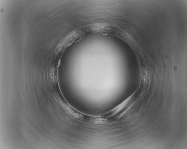 X0000054450670200508011431
