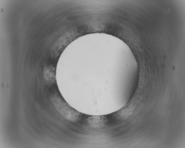 X0000054450672200508011431