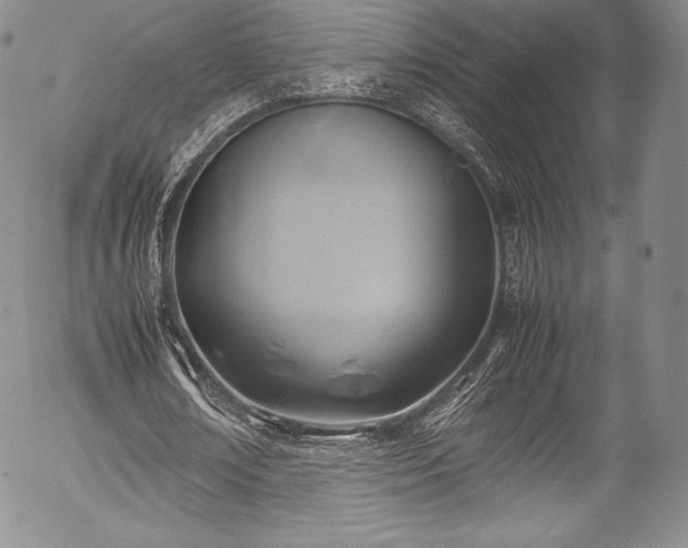 X0000054450674200508011430