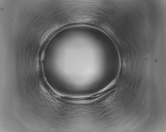 X0000054450676200508011430