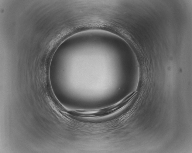 X0000054450677200508011430