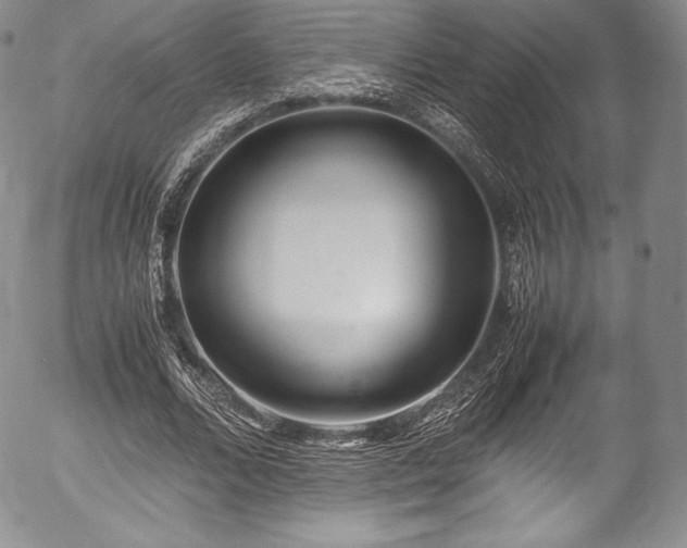 X0000054450680200508011430