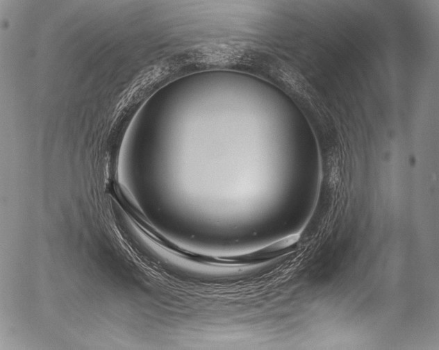X0000054450685200508011430