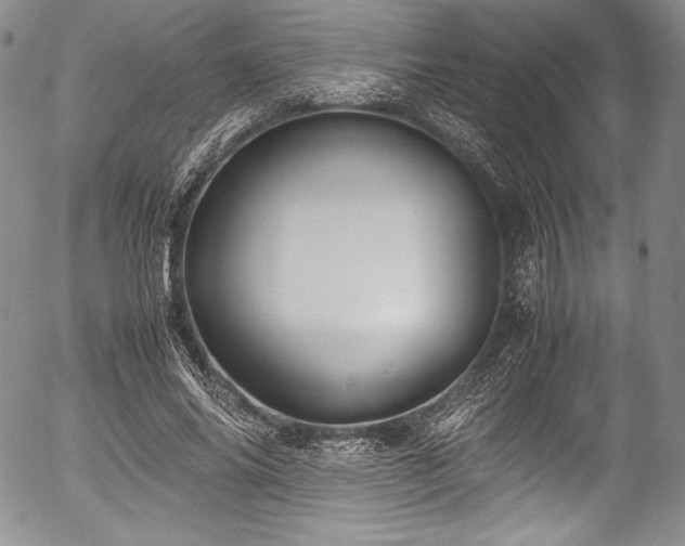 X0000054450686200508011430