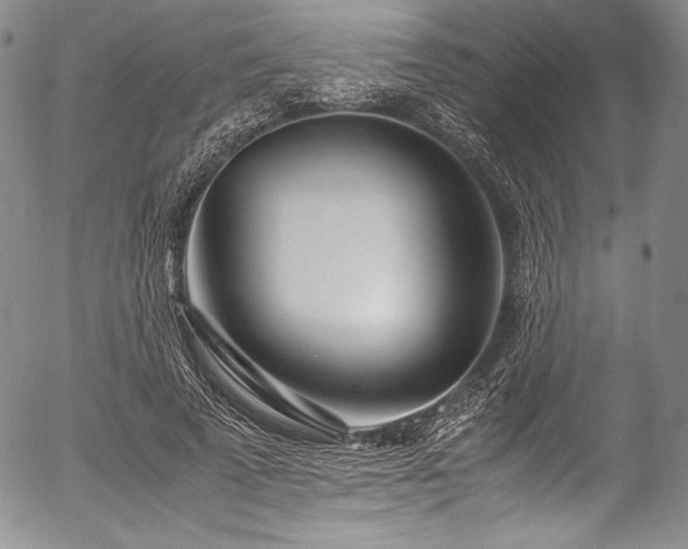 X0000054450689200508011430