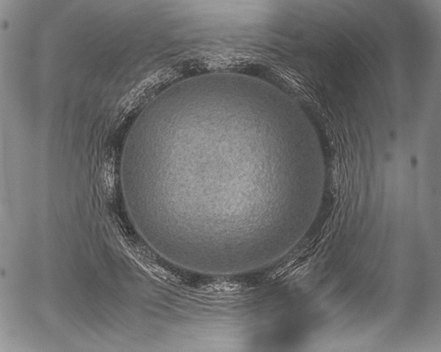 X0000054450691200508011430