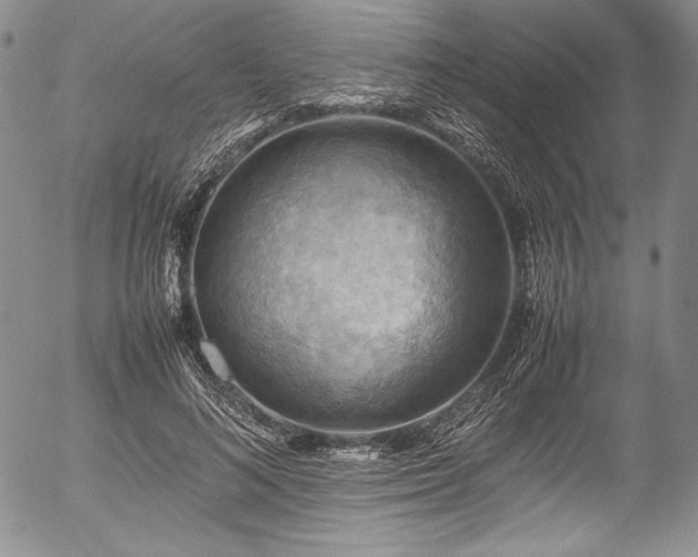 X0000054450692200508011430