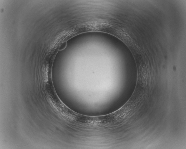 X0000054450694200508011430
