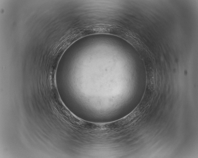 X0000054450696200508011429