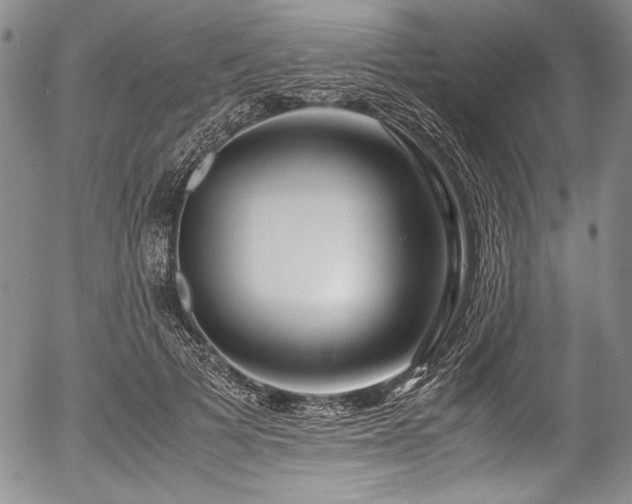 X0000054450697200508011429