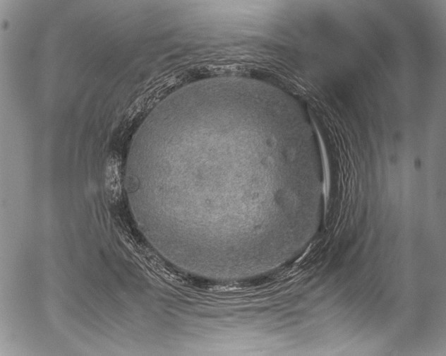 X0000054450699200508011429