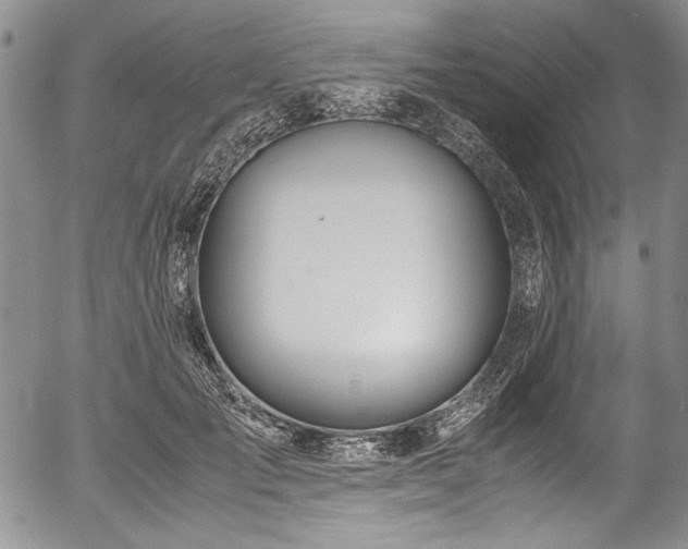 X0000054450701200508011429