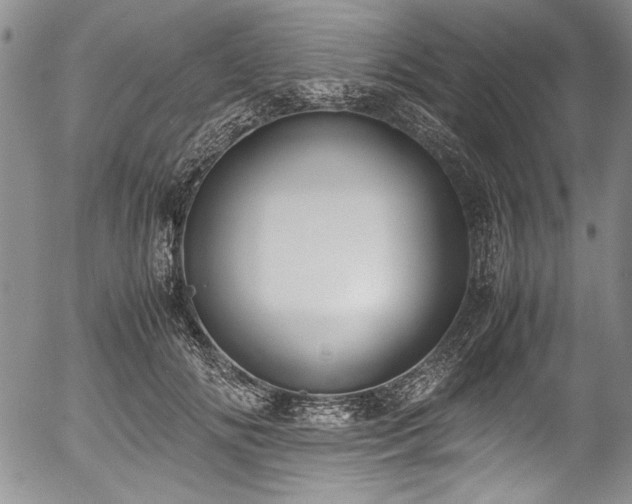 X0000054450702200508011429