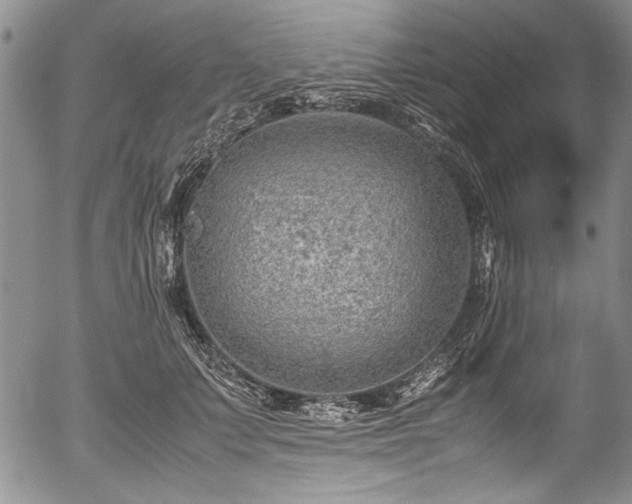 X0000054450703200508011429