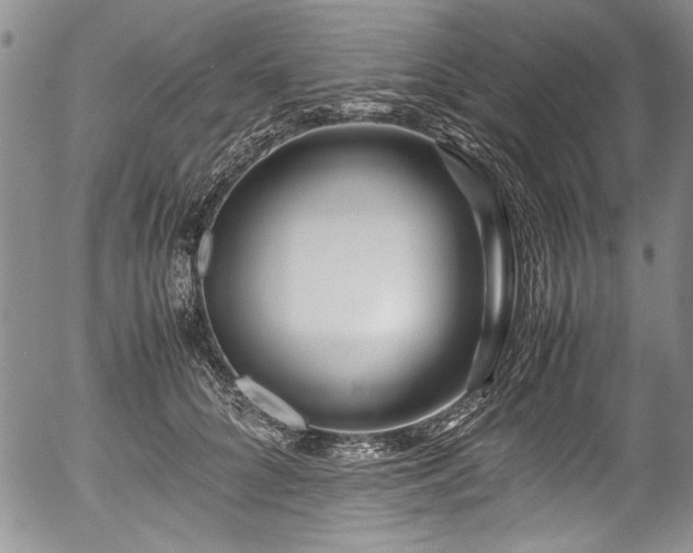X0000054450704200508011429