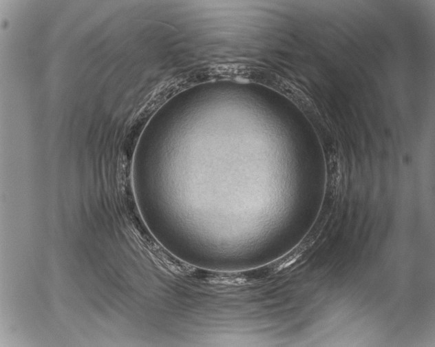 X0000054450712200508011429