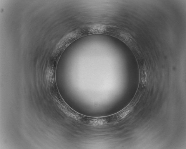 X0000054450714200508011429