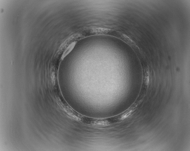 X0000054450716200508011429