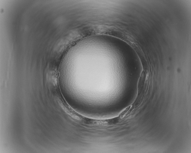 X0000054450719200508011429