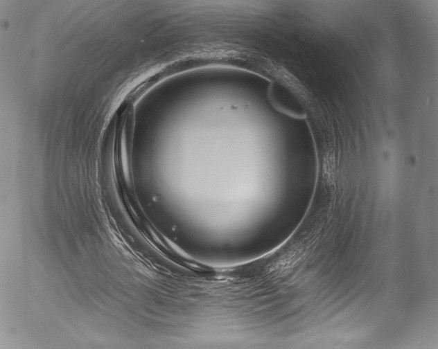 X0000054450724200508011428