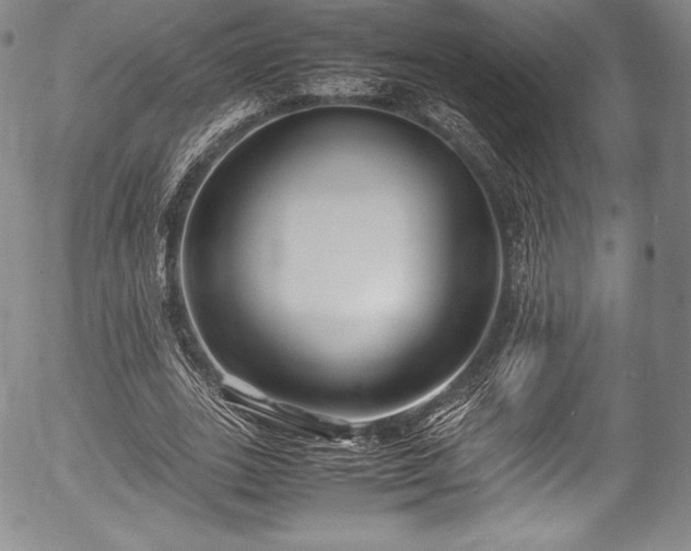 X0000054450727200508011428