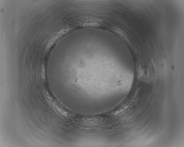 X0000054450729200508011428