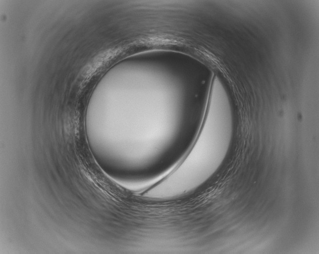 X0000054450732200508011428