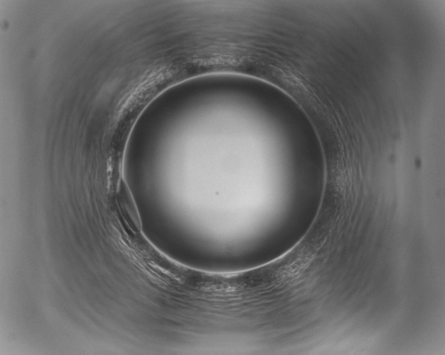 X0000054450735200508011428