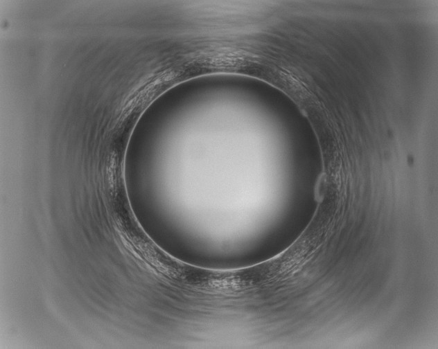 X0000054450744200508011429
