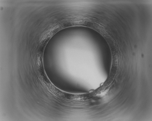 X0000054450746200508011429