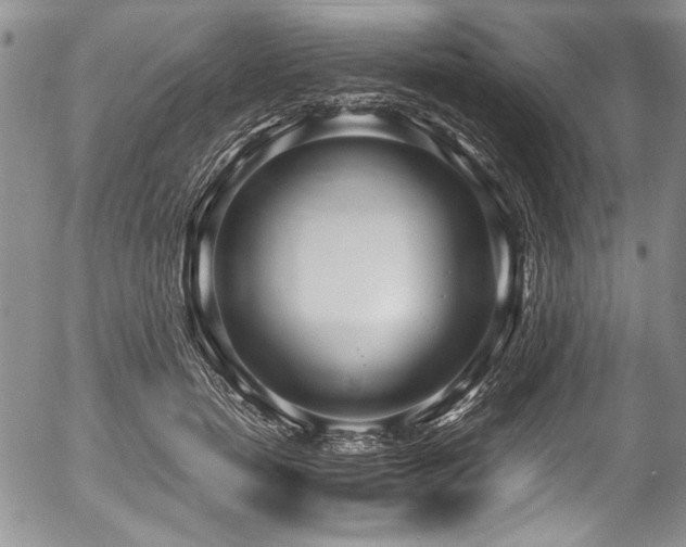 X0000054450750200508011429
