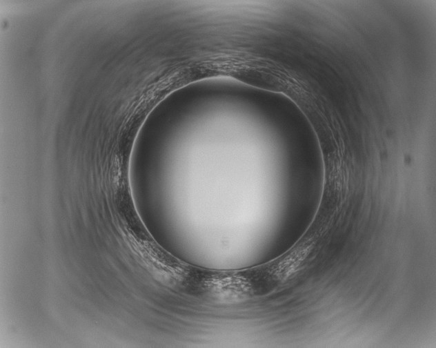 X0000054450752200508011429