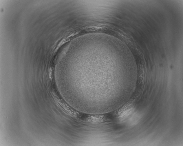 X0000054450758200508011429