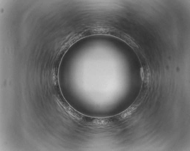X0000054450764200508011429