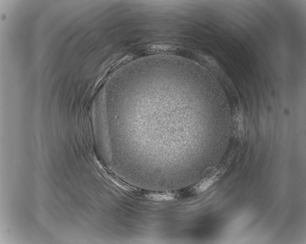 X0000054450765200508011429