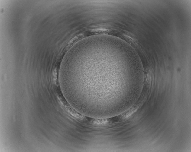 X0000054450767200508011429