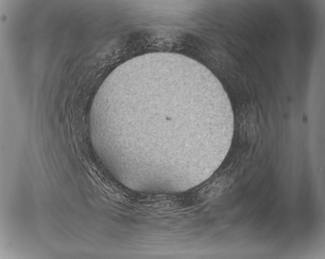 X0000054450769200508011428