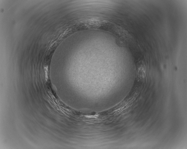 X0000054450772200508011428