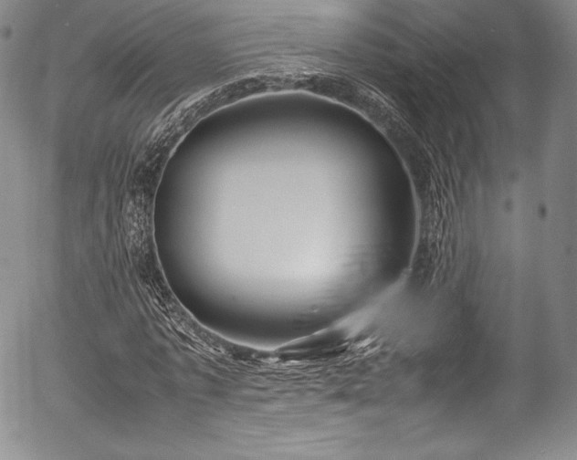 X0000054450773200508011428