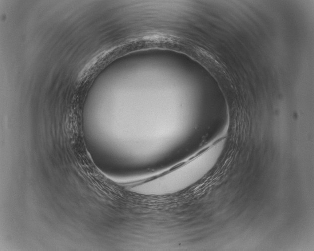 X0000054450776200508011428