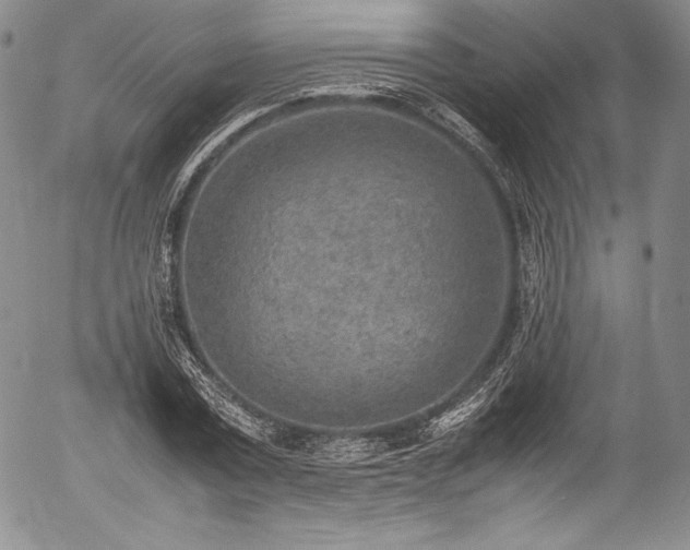 X0000054450779200508011428