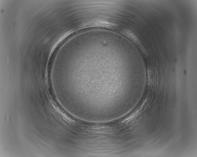 X0000054450780200508011428