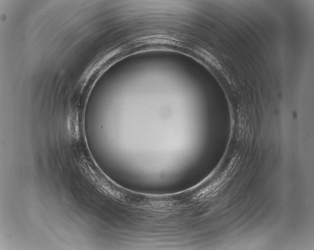 X0000054450782200508011428