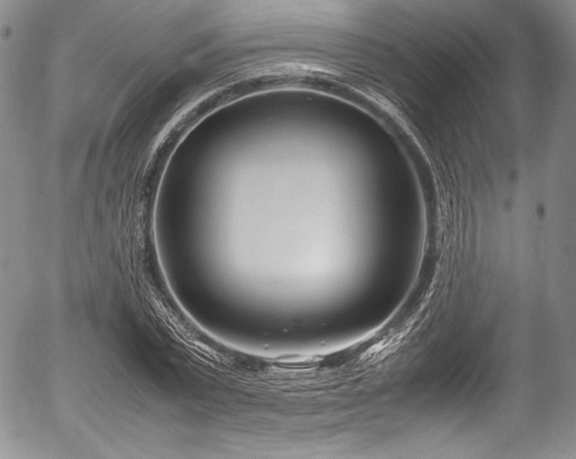 X0000054450783200508011428